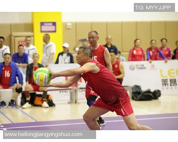 排球爱好者必看护腕选购指南及推荐品牌解析